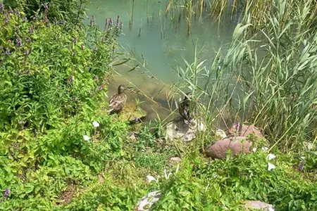 Aparcamiento en Balatonboglár 2026: zonas y lugares de interés